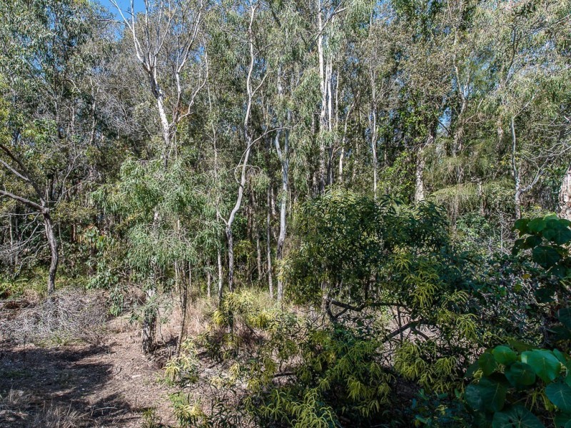 14 Peatling Lane, Twin Waters QLD 4564