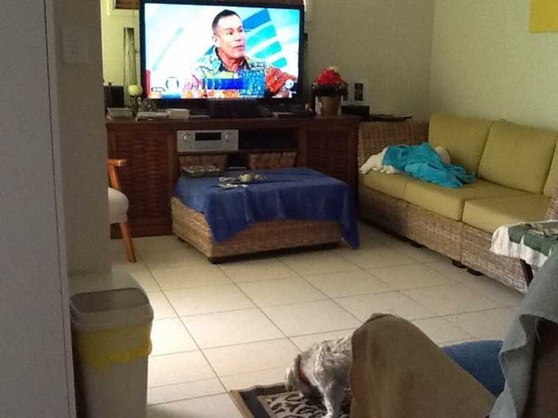 1/3 Kumbar Street, Pacific Paradise QLD 4564