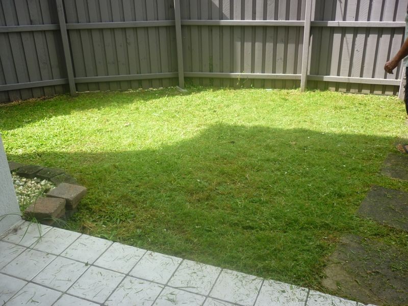 3/45 Maud Street, Maroochydore QLD 4558