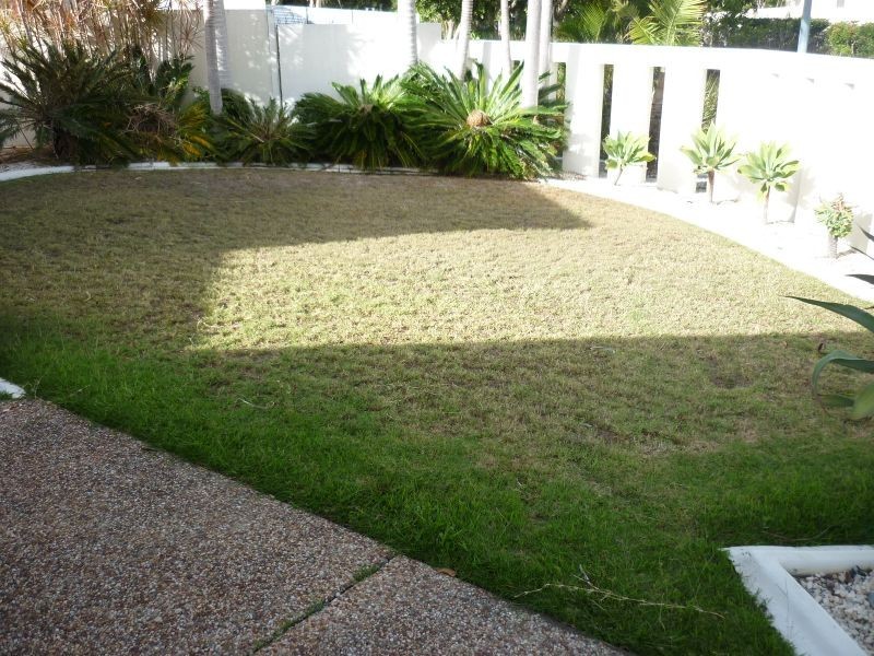 Twin Waters QLD 4564