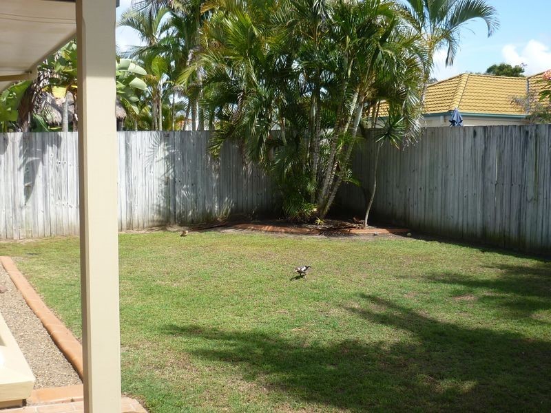11 Watergum Place, Twin Waters QLD 4564
