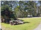13 Forest Hill Drive, Maroochy River QLD 4561
