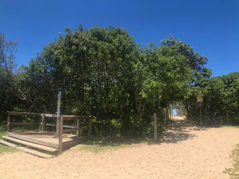 31 Petrie Avenue, Marcoola QLD 4564