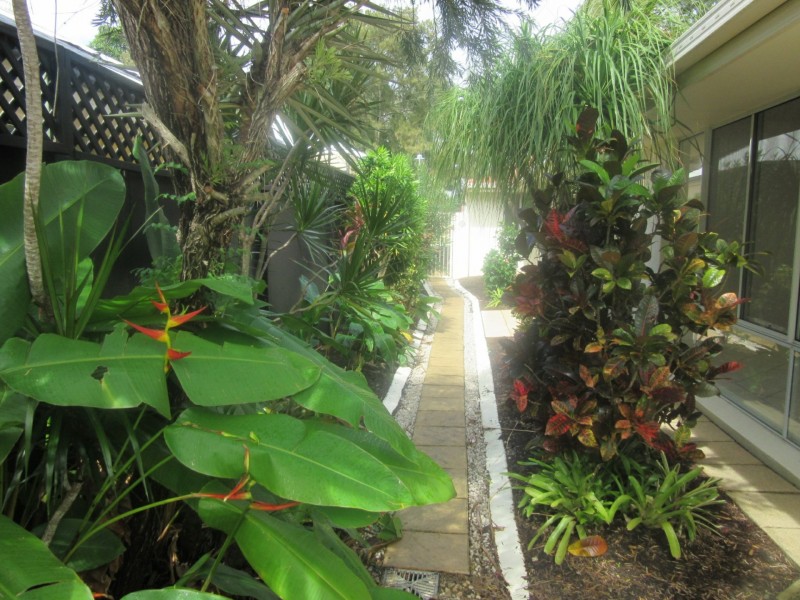 8 Brushbox Cct, Twin Waters QLD 4564