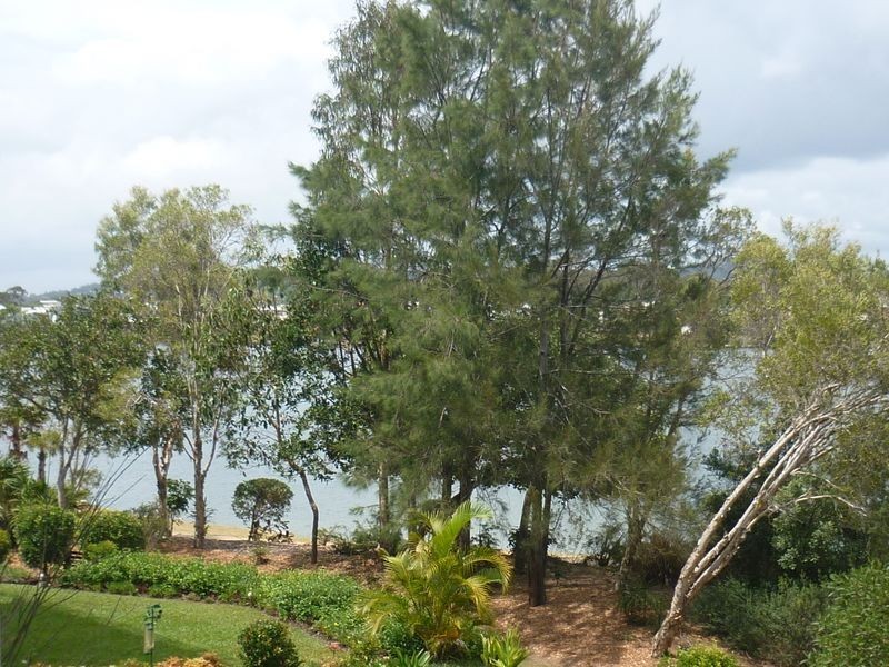 Twin Waters QLD 4564