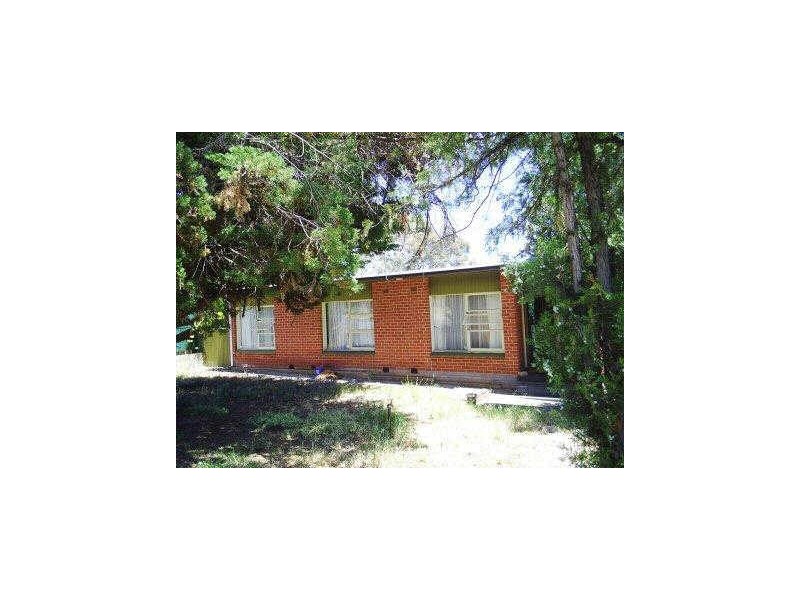 19 Bottrell Avenue, Ingle Farm SA 5098