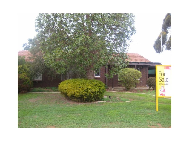 3 President Avenue, Andrews Farm SA 5114