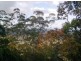 Montville QLD 4560