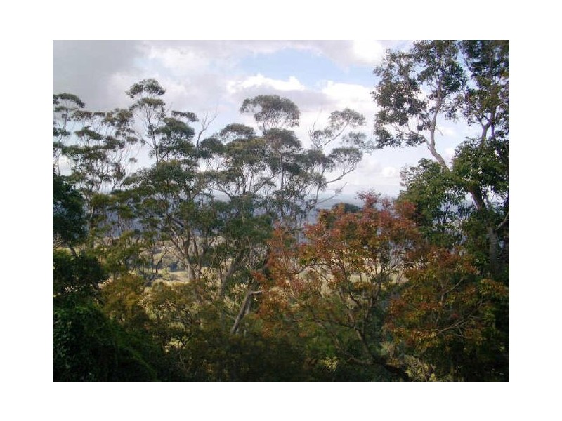 Montville QLD 4560