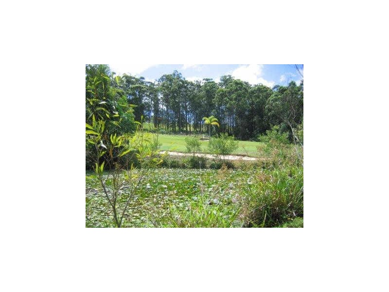 31 Palm Creek Road, Tanawha QLD 4556