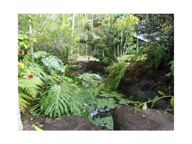 31 Palm Creek Road, Tanawha QLD 4556