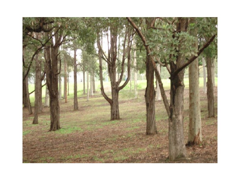 North Parramatta NSW 2151