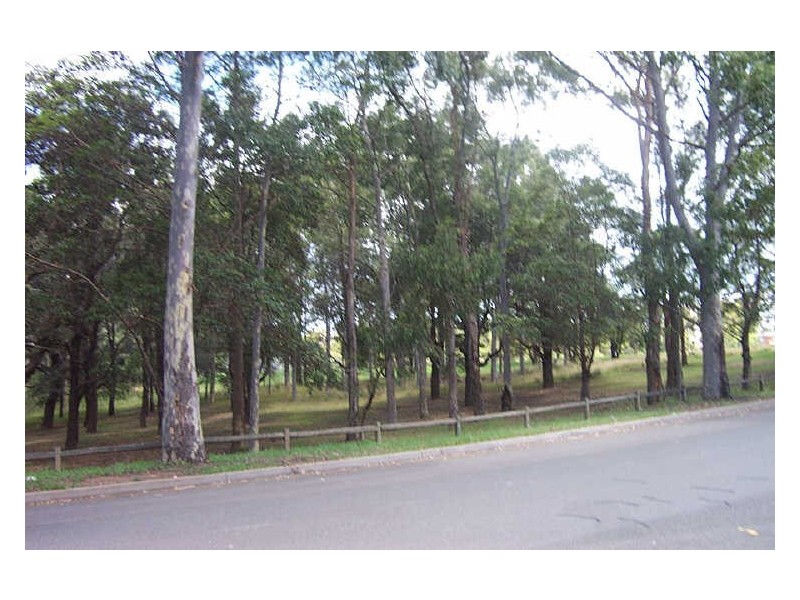 40 Bellevue Street, North Parramatta NSW 2151