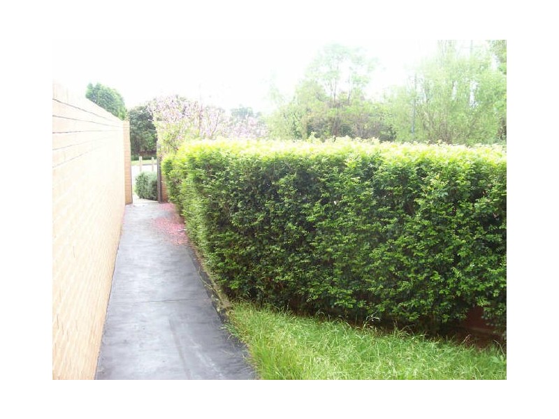 6/210 Pennant Hills Road, Oatlands NSW 2117