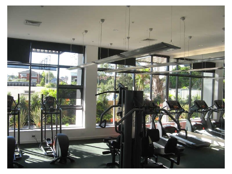 8 Cowper Street, Parramatta NSW 2150