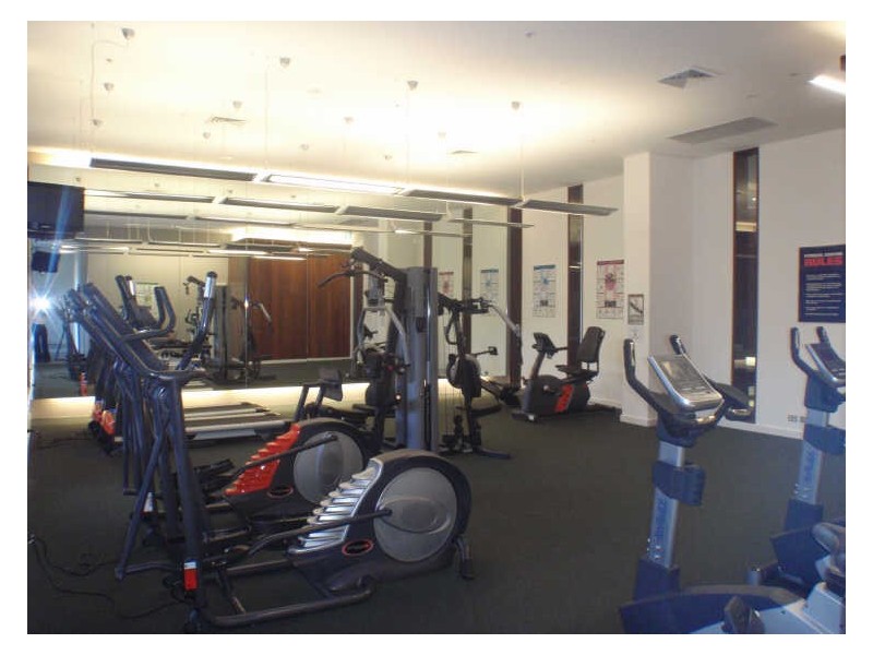 8 Cowper St, Parramatta NSW 2150