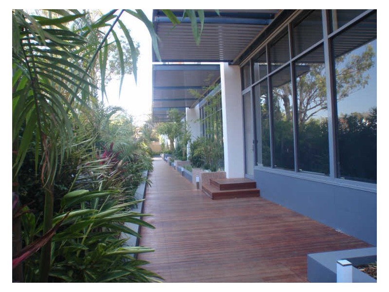 8 Cowper St, Parramatta NSW 2150