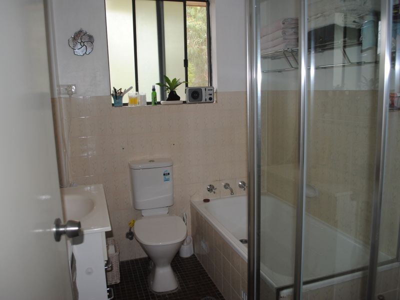 17 Castle Street, North Parramatta NSW 2151