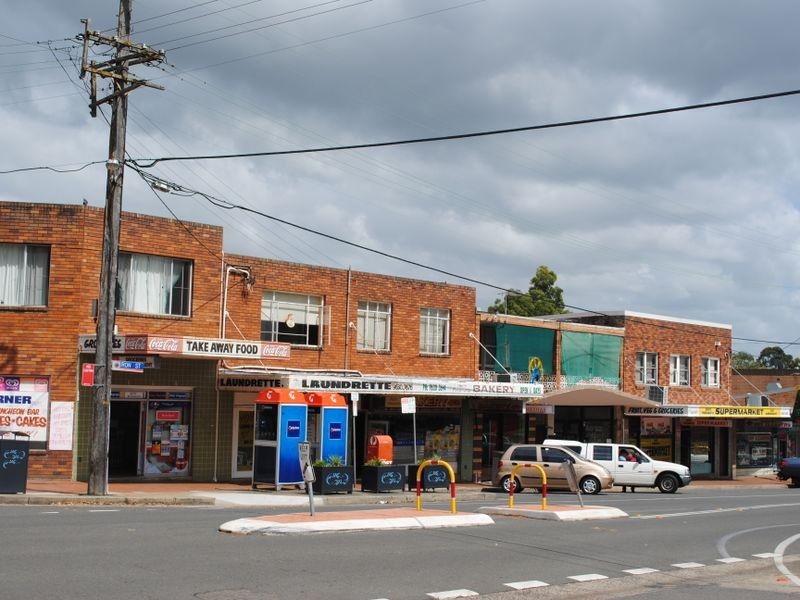 17 Castle Street, North Parramatta NSW 2151