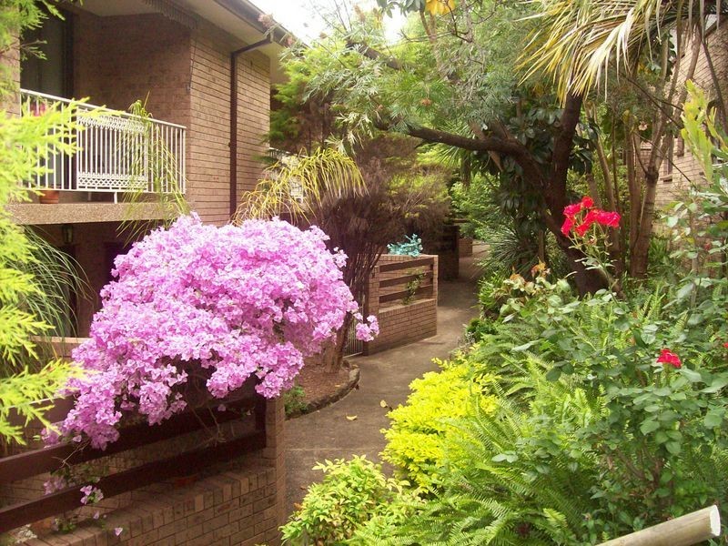 29 William Street, North Parramatta NSW 2151