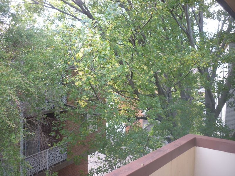 10-12 Fleet Street, North Parramatta NSW 2151