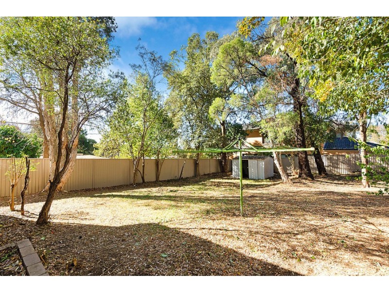 33 Jones Street, Wentworthville NSW 2145