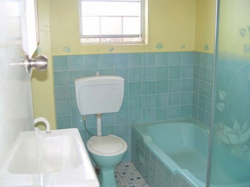 17 Mason Street, North Parramatta NSW 2151