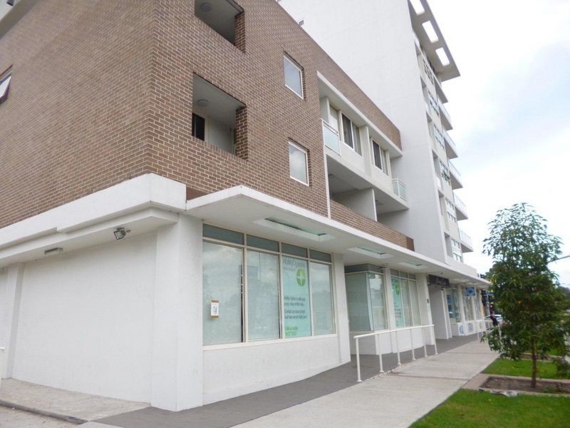 175 Pitt Street, Merrylands NSW 2160