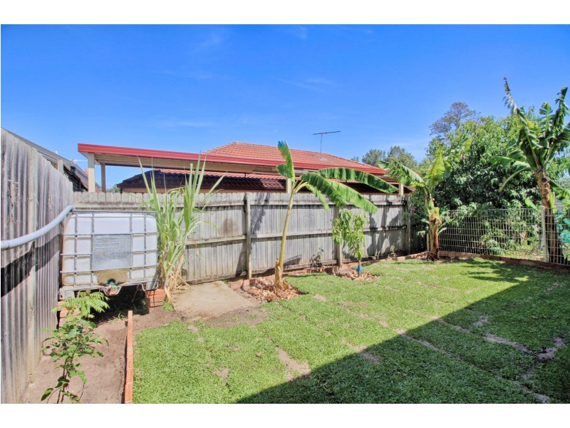 62a Hawkesbury Road, Westmead NSW 2145