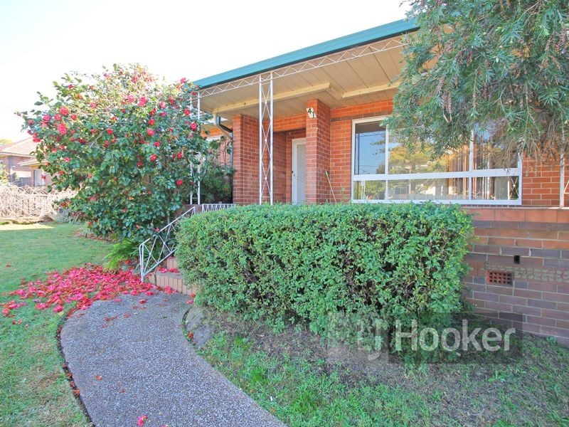 41 Austral Avenue, Westmead NSW 2145