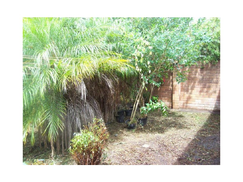 108 Windsor Road, Northmead NSW 2152