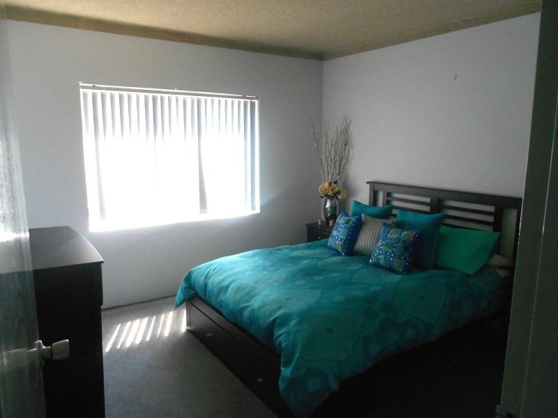 13 Factory Street, North Parramatta NSW 2151