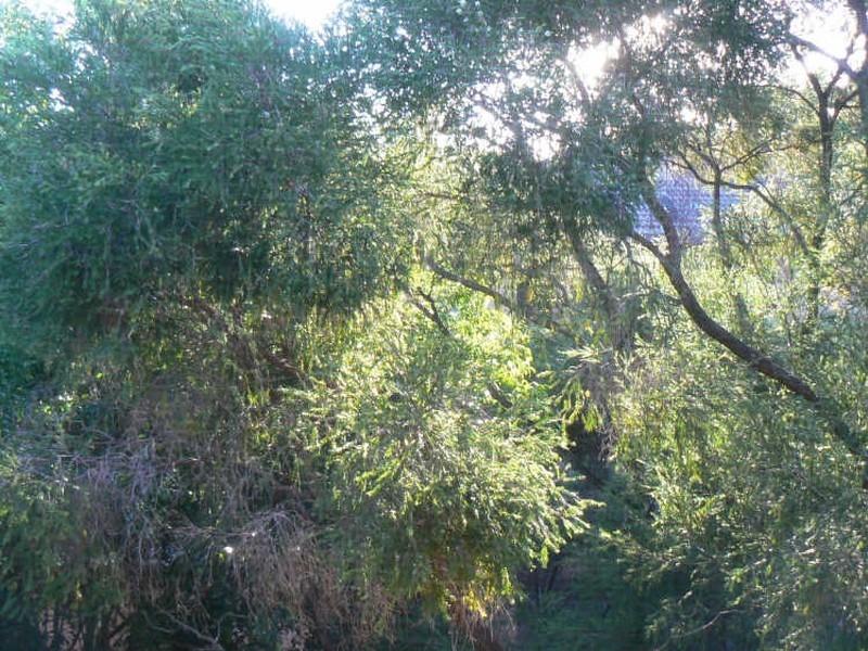 11/41-43 Calliope Street, Guildford NSW 2161