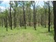 Mount Morgan QLD 4714