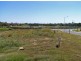 Lammermoor QLD 4703