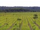 Yeppoon QLD 4703