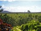 Yeppoon QLD 4703