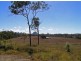 Cawarral QLD 4702