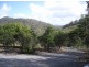 373 Mt Rae Road, Yeppoon QLD 4703