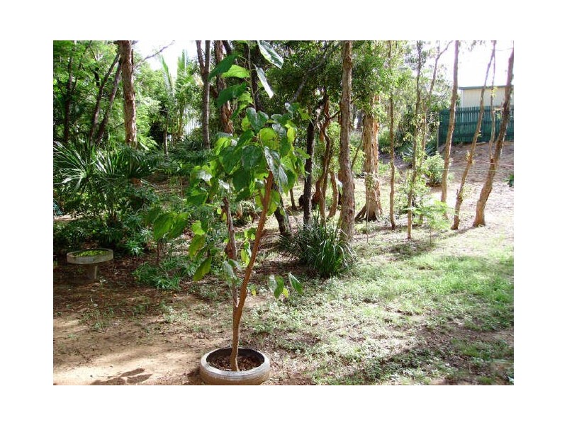 Site 405/760 Scenic Highway, Kinka Beach QLD 4703