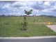 Mulambin QLD 4703