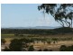 Tanby QLD 4703