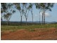 Tanby QLD 4703