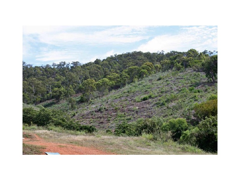 Barlows Hill QLD 4703