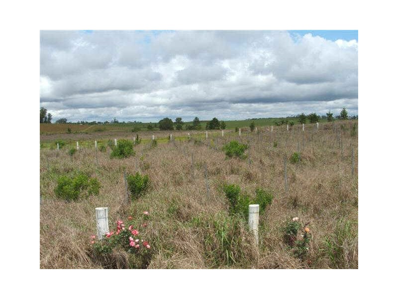 Tinana South QLD 4650