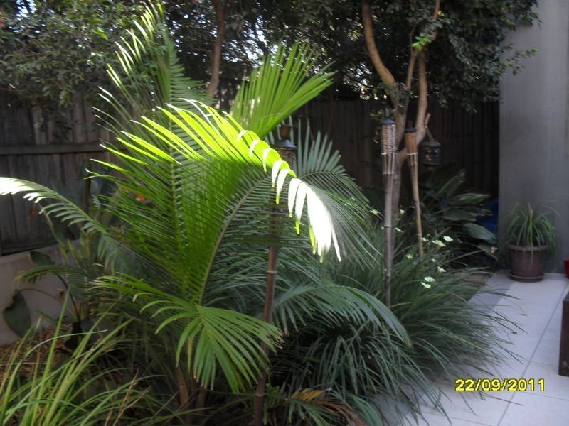 8/233 Gympie Rd, Kedron QLD 4031