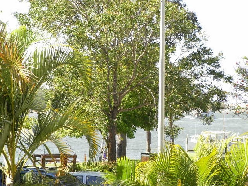 Noosaville QLD 4566