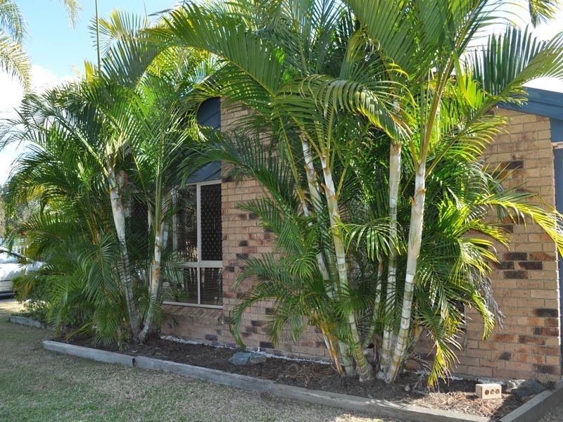 3 Natius Street, Lawnton QLD 4501