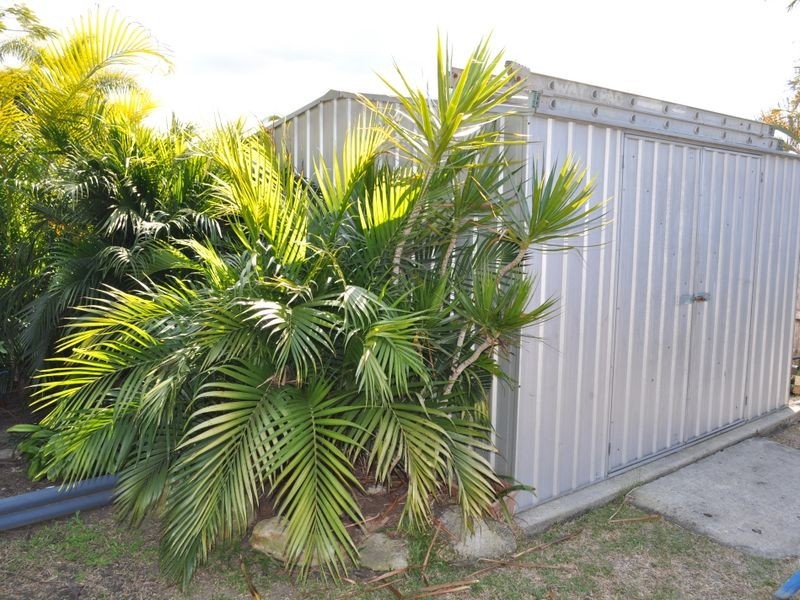 3 Natius Street, Lawnton QLD 4501