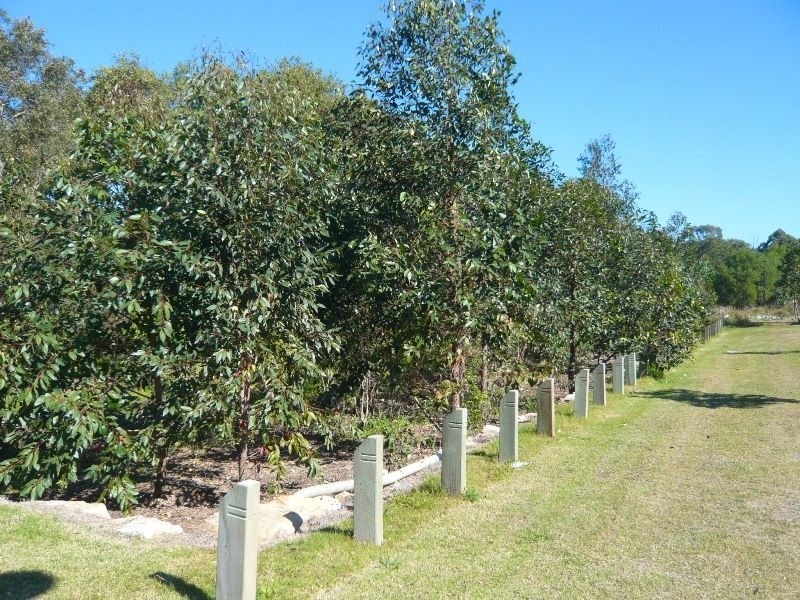 Warner QLD 4500